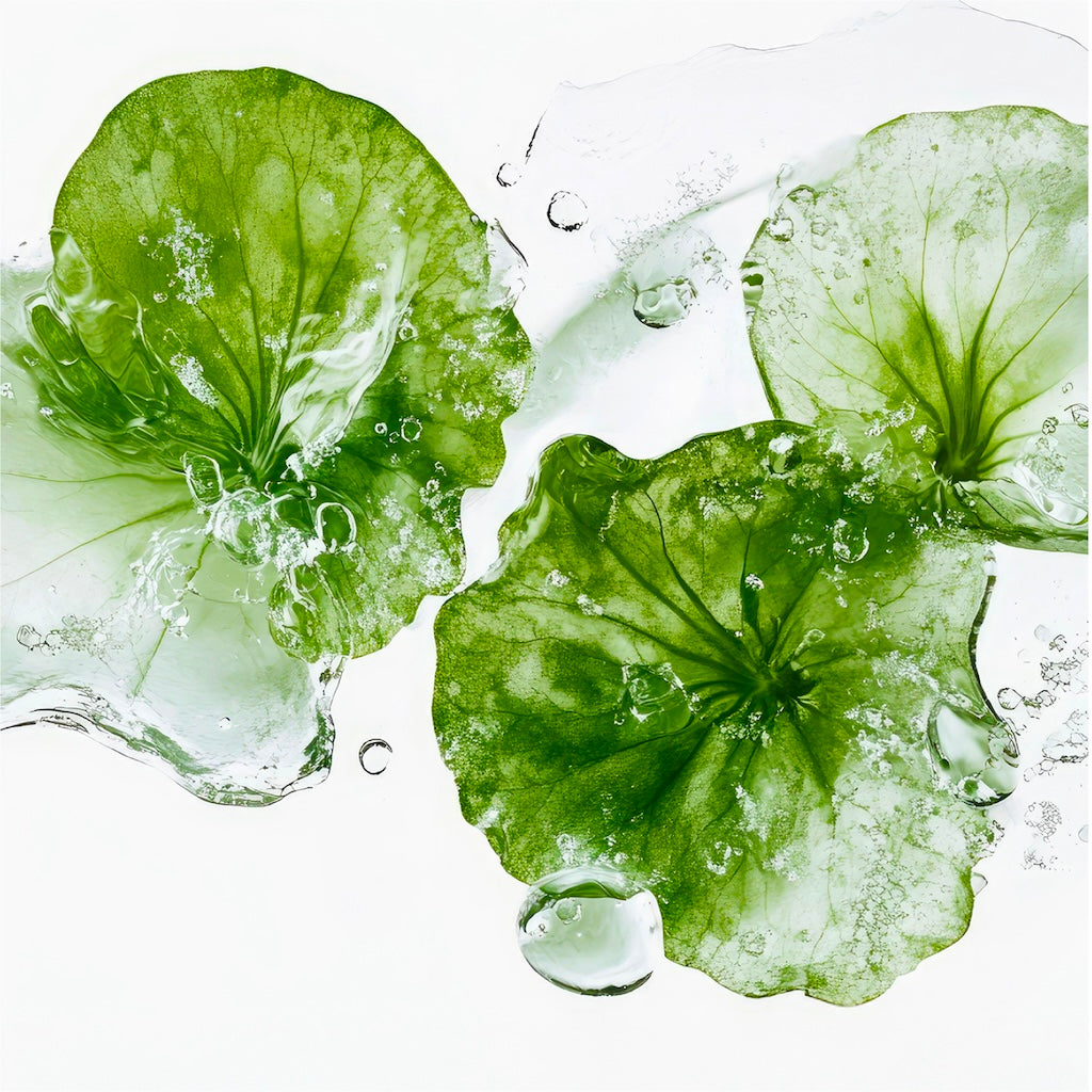 Madeca Cream Time Reverse